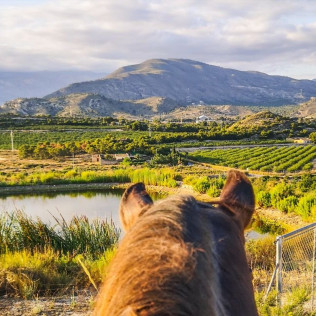 Escapada con Piscina y Jacuzzi en Apartamentos Oasis de la Cala con Paseo a Caballo para dos por la Montaña con Vistas al Mar (Alicante)