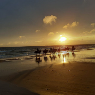 Escapada con Desayuno en Hostal Santa con Paseo a Caballo al Atardecer para dos por las Playas de Doñana (Huelva)