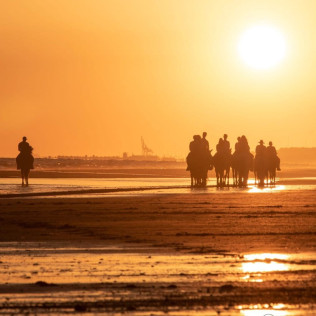 Escapada con Desayuno en Hostal Santa con Paseo a Caballo al Atardecer para dos por las Playas de Doñana (Huelva)