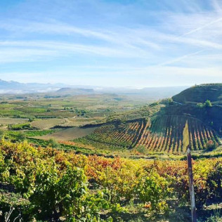 Escapada Romántica con Visita a Bodega (La Rioja)