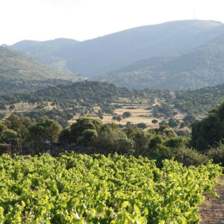 Escapada con Spa en Hotel Beatriz Toledo Auditorium & Spa 4* y Visita a Bodegas Canopy con Cata y Aperitivo para dos (Toledo)