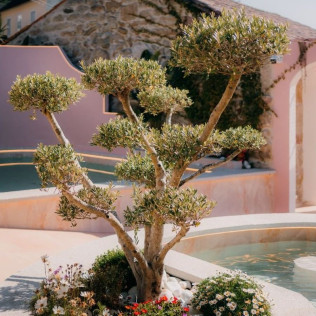 Escapada con Spa y Desayuno en Aldea Calma (Pontevedra)