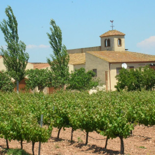 Escapada con Spa en Hotel Mas Passamaner 5*, Visita al Celler Mas Foraster y Cata de Vinos para dos (Tarragona)