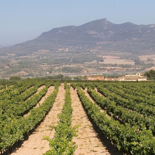 Escapada con Spa en Hotel Mas Passamaner 5*, Visita al Celler Mas Foraster y Cata de Vinos para dos (Tarragona)