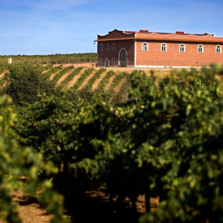Escapada en Hotel Bodega El Moral 4* con Visita guiada a Bodega las Encomiendas y Degustación de Vinos (Ribera del Fresno, Badajoz)