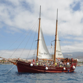 Excursión en Barco, Avistamiento de Cetáceos y Parada para Baño (Tenerife)