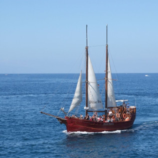 Excursión en Barco, Avistamiento de Cetáceos y Parada para Baño (Tenerife)