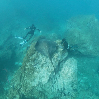 Excursión en Barco con Snorkel, Fotos y Vídeos para Visitar Lenguas de Lava Sumergidas (La Caleta de Adeje, Tenerife)