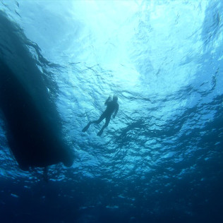 Excursión en Barco con Snorkel, Fotos y Vídeos para Visitar Lenguas de Lava Sumergidas (La Caleta de Adeje, Tenerife)