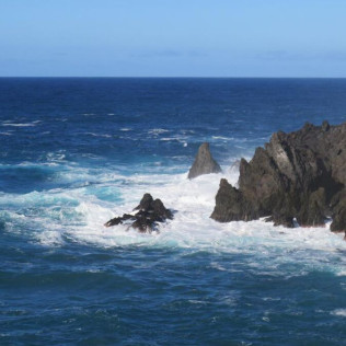 Excursión en Barco con Snorkel, Fotos y Vídeos para Visitar Lenguas de Lava Sumergidas (La Caleta de Adeje, Tenerife)