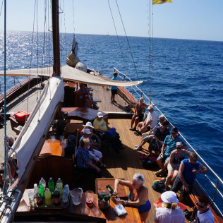 Excursión en Barco 5h, Avistamiento de Cetáceos, Los Gigantes y Comida (Tenerife)