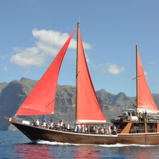 Excursión en Barco 5h, Avistamiento de Cetáceos, Los Gigantes y Comida (Tenerife)