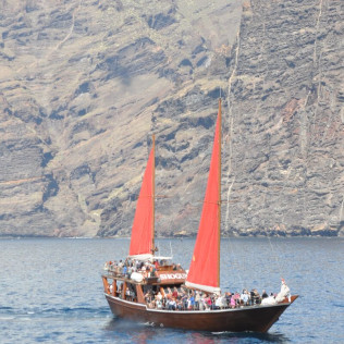 Excursión en Barco 5h, Avistamiento de Cetáceos, Los Gigantes y Comida (Tenerife)