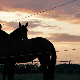 Excursión a Caballo (Girona)