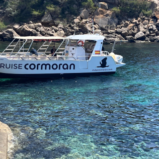 Caves, Cliffs & Coves: Excursión en Lancha a Cuevas, Calas y Acantilados con Baño (Mallorca)