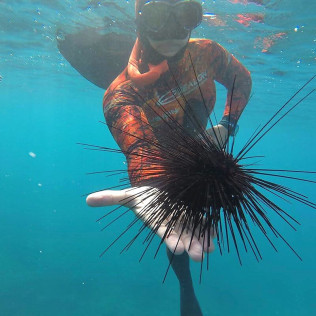 Excursión de Snorkel con Fotos y Vídeos en la Reserva Natural Protegida de La Caleta de Adeje (Tenerife)