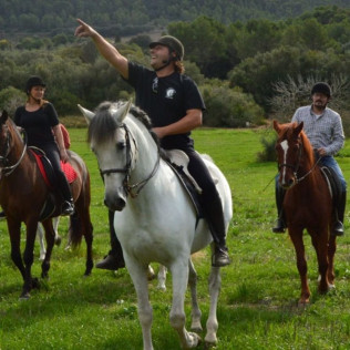 Excursión a Caballo por el Valle de Randa con Fotos y Vídeo (Algaida, Mallorca)