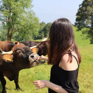 Experiencia Gastronómica en Fundación Okelan: Visita, Formación y Degustación (Zarautz, Guipúzcoa)
