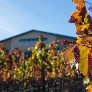 Fin de Semana Romántico: Alojamiento en Bodega y Cata de Vino en BUIL & GINÉ WINE HOTEL 4* (Tarragona)