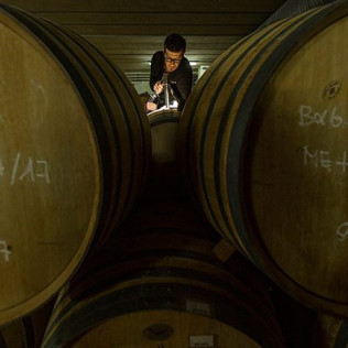Fin de Semana Romántico: Alojamiento en Bodega y Cata de Vino en BUIL & GINÉ WINE HOTEL 4* (Tarragona)