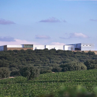 Visita a la Bodega con Cata de Vinos, Tapa de Queso y Almendras para dos en Finca Antigua (Los Hinojosos, Cuenca)
