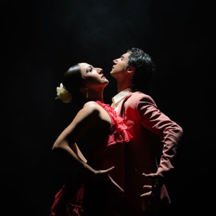 Olé Flamenco Show: Espectáculo Flamenco con Opción de Copa de Vino y Tapa (Tenerife)