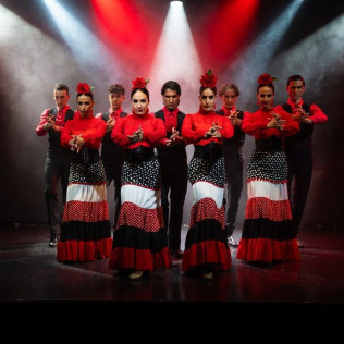 Olé Flamenco Show: Espectáculo Flamenco con Opción de Copa de Vino y Tapa (Tenerife)