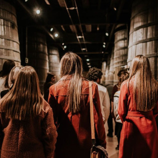 Visita a Bodegas Franco Españolas con Cata Rioja vs Ribera (Logroño, La Rioja)