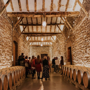 Visita a Bodegas Franco Españolas con Cata Rioja vs Ribera (Logroño, La Rioja)