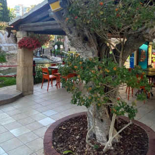 Entrada a Golf Fantasia (Palmanova, Mallorca)