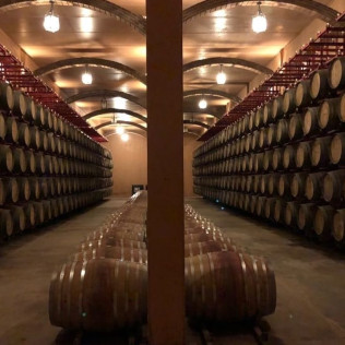 Visita a Bodega y Cata de Vino en Hacienda Villarta (Escalona, Toledo)