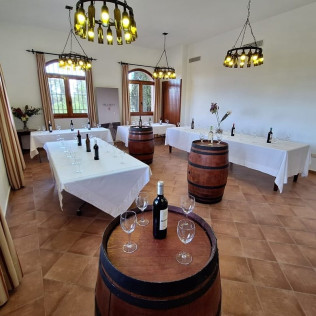 Visita a Bodega y Cata de Vino en Hacienda Villarta (Escalona, Toledo)
