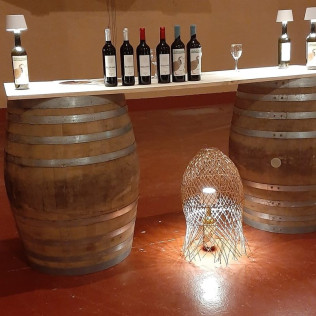Visita a Bodega y Cata de Vino en Hacienda Villarta (Escalona, Toledo)