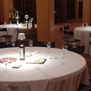 Visita a Bodega y Cata de Vino en Hacienda Villarta (Escalona, Toledo)