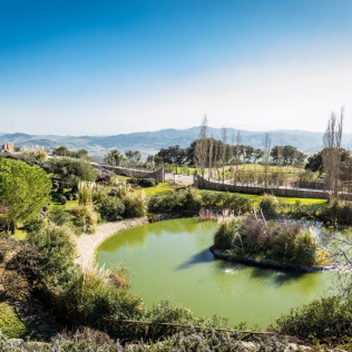 Escapada con Desayuno en Hotel Fuente del Sol 4* (La Joya - Antequera, Málaga)