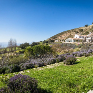 Escapada con Desayuno en Hotel Fuente del Sol 4* (La Joya - Antequera, Málaga)