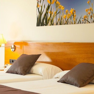 Escapada con Desayuno en Hotel Rull (Deltebre, Tarragona)