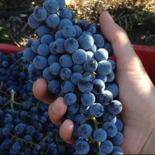 Escapada en Hotel Rural Soterraña y Visita a Bodegas Ruiz Torres, Cata de 3 Vinos y 2 Botellas de Vino para dos (Cáceres) 