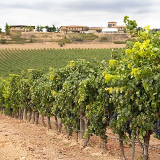 Escapada con Spa en Hotel Spa Tudanca Aranda 4* y Visita a Bodegas Viña Arnáiz con Cata de Vinos (Burgos)