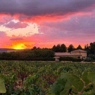 Escapada con Menú Degustación en Hotel Spa Enoturismo Mainetes (Albacete)