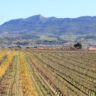 Escapada en el Iberik Rocallaura Balneari 4* con Spa, Cena y Visita al Celler Mas Foraster (Lleida y Tarragona)
