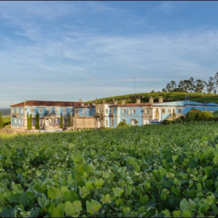 Escapada con Desayuno en Hotel Panadeiramar y Visita a Bodega Granbazán con Cata de Vinos (Pontevedra)