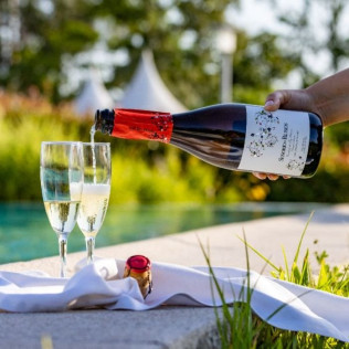Visita a Viñedos y Bodegas Señorío de Rubiós con Cata y Circuito Termal en Balneario de Mondariz para dos (Pontevedra)
