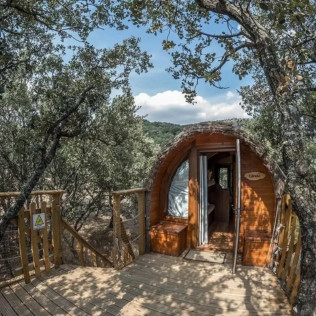 Noche en una Cabaña en el Árbol (Madrid)