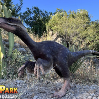 Entrada a DinoPark Algar (Alicante)
