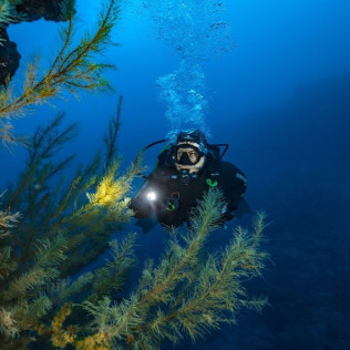 Introducción al Buceo en Mar (Fuencaliente de La Palma, Los Canarios)