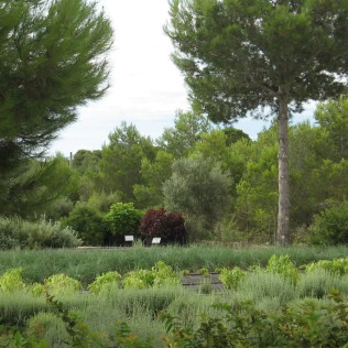 Visita Guiada a Ecoherbes: Jardí Botanic (L'Ampolla, Tarragona)