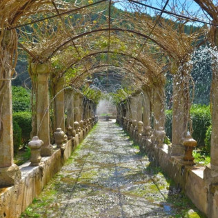 Jardines de Alfabia: Visita a la Casa, Jardines y al Huerto (Bunyola, Mallorca)