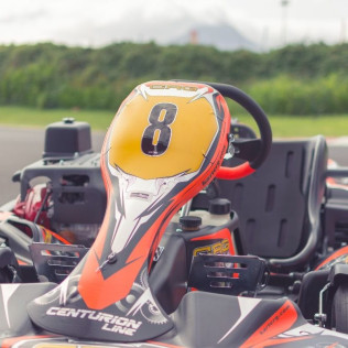 Tanda de Karting (Arona, Santa Cruz de Tenerife)