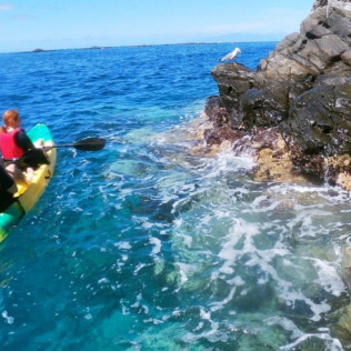 Excursión en Kayak y Snorkel con Fotos en Playa Los Cristianos (Arona, Santa Cruz de Tenerife)